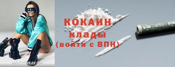 гидра Тайга