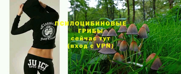 мет Нефтегорск
