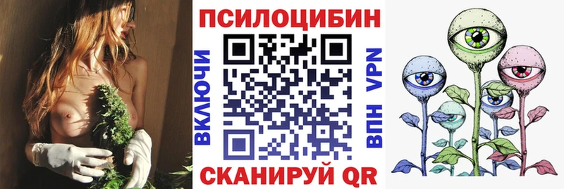 купить наркотик  Олонец  Галлюциногенные грибы Magic Shrooms 
