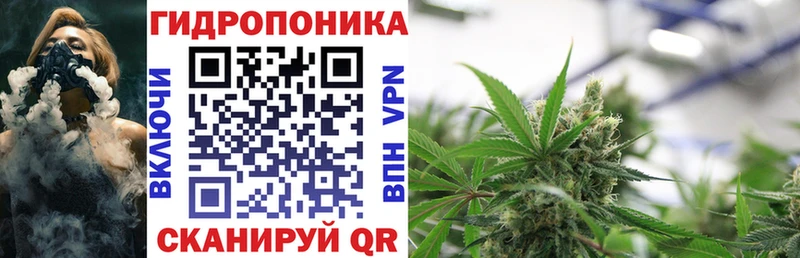 Канабис индика  MEGA маркетплейс  Олонец  купить  цена 